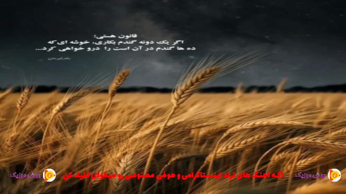 دانلود آهنگ سیس میگیری انگار سرت شلوغه بیا برو از 